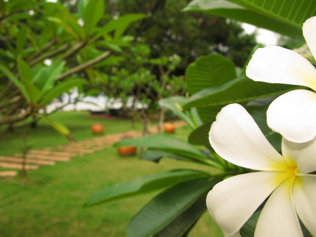 Baan Pun Sook Resort Chao Lao Beach Luaran gambar